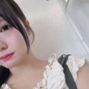 ヒメ日記 2026/08/09 15:26 投稿 ねこ ぽっちゃりきぶん