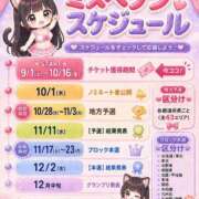 ヒメ日記 2026/09/01 07:00 投稿 ねこ ぽっちゃりきぶん