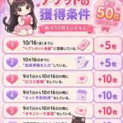 ヒメ日記 2026/09/10 12:03 投稿 ねこ ぽっちゃりきぶん