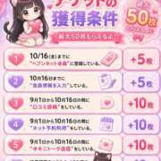 ヒメ日記 2026/09/18 23:45 投稿 ねこ ぽっちゃりきぶん