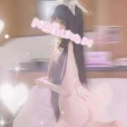ヒメ日記 2026/09/20 12:48 投稿 ねこ ぽっちゃりきぶん