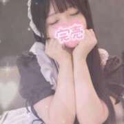 ヒメ日記 2026/09/24 22:46 投稿 ねこ ぽっちゃりきぶん