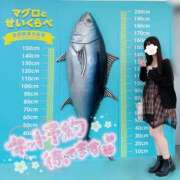 ヒメ日記 2026/10/03 10:03 投稿 ねこ ぽっちゃりきぶん