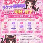 ヒメ日記 2026/10/15 17:00 投稿 ねこ ぽっちゃりきぶん