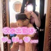 ヒメ日記 2026/10/23 03:56 投稿 ねこ ぽっちゃりきぶん