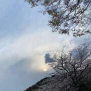 ☆ひかり☆ ひかり⭐️ほっこり ◆プラウディア◆AAA級素人娘在籍店