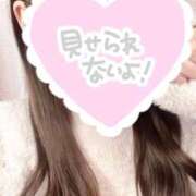 ヒメ日記 2025/04/29 11:06 投稿 モモ Juicy＋(ユメオト)