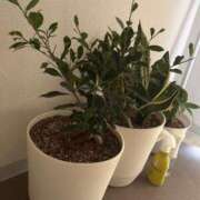 ヒメ日記 2025/02/12 14:58 投稿 あお 京都の痴女鉄道