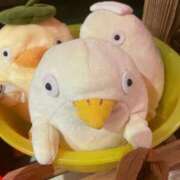 ヒメ日記 2025/03/23 16:36 投稿 あお 京都の痴女鉄道