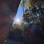 ヒメ日記 2025/04/09 15:36 投稿 あお 京都の痴女鉄道