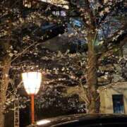 ヒメ日記 2025/05/06 13:46 投稿 あお 京都の痴女鉄道