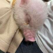 ヒメ日記 2025/06/12 15:12 投稿 あお 京都の痴女鉄道