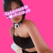 ヒメ日記 2025/09/18 18:06 投稿 あお 京都の痴女鉄道