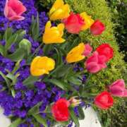 ヒメ日記 2026/04/03 23:36 投稿 あお 京都の痴女鉄道