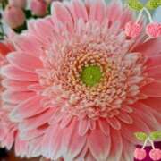 ヒメ日記 2025/03/11 20:19 投稿 はな(昭和45年生まれ) 熟年カップル名古屋～生電話からの営み～