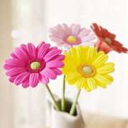 ヒメ日記 2025/03/14 09:59 投稿 はな(昭和45年生まれ) 熟年カップル名古屋～生電話からの営み～