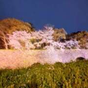 ヒメ日記 2025/04/05 21:45 投稿 はな(昭和45年生まれ) 熟年カップル名古屋～生電話からの営み～