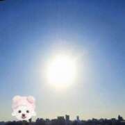 ヒメ日記 2025/04/12 08:11 投稿 はな(昭和45年生まれ) 熟年カップル名古屋～生電話からの営み～