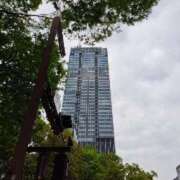 ヒメ日記 2025/04/18 10:00 投稿 はな(昭和45年生まれ) 熟年カップル名古屋～生電話からの営み～