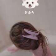 ヒメ日記 2025/05/03 00:38 投稿 はな(昭和45年生まれ) 熟年カップル名古屋～生電話からの営み～