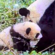 ヒメ日記 2025/05/05 09:55 投稿 はな(昭和45年生まれ) 熟年カップル名古屋～生電話からの営み～