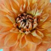 ヒメ日記 2025/05/06 15:57 投稿 はな(昭和45年生まれ) 熟年カップル名古屋～生電話からの営み～