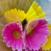 ヒメ日記 2025/05/18 13:34 投稿 はな(昭和45年生まれ) 熟年カップル名古屋～生電話からの営み～