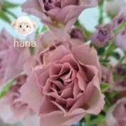 ヒメ日記 2025/05/21 14:20 投稿 はな(昭和45年生まれ) 熟年カップル名古屋～生電話からの営み～