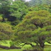 ヒメ日記 2025/05/23 08:23 投稿 はな(昭和45年生まれ) 熟年カップル名古屋～生電話からの営み～