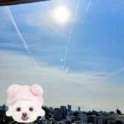 ヒメ日記 2025/06/02 09:23 投稿 はな(昭和45年生まれ) 熟年カップル名古屋～生電話からの営み～