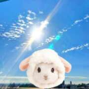 ヒメ日記 2025/06/04 08:03 投稿 はな(昭和45年生まれ) 熟年カップル名古屋～生電話からの営み～