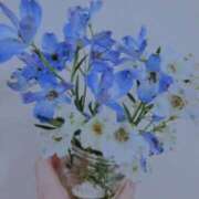 ヒメ日記 2025/06/05 08:38 投稿 はな(昭和45年生まれ) 熟年カップル名古屋～生電話からの営み～