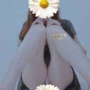 ヒメ日記 2025/08/19 09:53 投稿 はな(昭和45年生まれ) 熟年カップル名古屋～生電話からの営み～