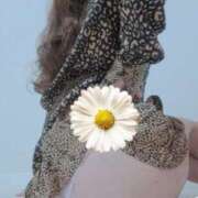 ヒメ日記 2025/10/22 13:41 投稿 はな(昭和45年生まれ) 熟年カップル名古屋～生電話からの営み～