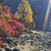 ヒメ日記 2025/11/21 11:44 投稿 はな(昭和45年生まれ) 熟年カップル名古屋～生電話からの営み～