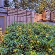 ヒメ日記 2025/12/15 06:42 投稿 はな(昭和45年生まれ) 熟年カップル名古屋～生電話からの営み～