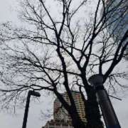 ヒメ日記 2025/12/25 18:37 投稿 はな(昭和45年生まれ) 熟年カップル名古屋～生電話からの営み～