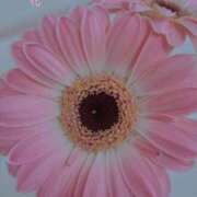 ヒメ日記 2026/03/06 12:30 投稿 はな(昭和45年生まれ) 熟年カップル名古屋～生電話からの営み～