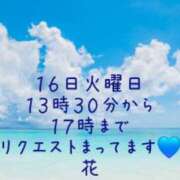 ヒメ日記 2026/06/15 21:54 投稿 はな(昭和45年生まれ) 熟年カップル名古屋～生電話からの営み～