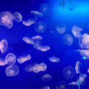 ヒメ日記 2025/04/18 13:15 投稿 みずき S級しろうと娘