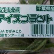 ヒメ日記 2025/04/06 13:56 投稿 花園かよ ウフフな40。ムフフな50。。（横浜ハレ系）