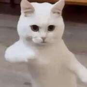 ヒメ日記 2025/05/10 09:58 投稿 花園かよ ウフフな40。ムフフな50。。（横浜ハレ系）