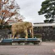 ヒメ日記 2025/05/13 22:52 投稿 花園かよ ウフフな40。ムフフな50。。（横浜ハレ系）