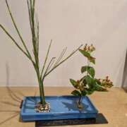 ヒメ日記 2025/08/12 13:52 投稿 花園かよ ウフフな40。ムフフな50。。（横浜ハレ系）