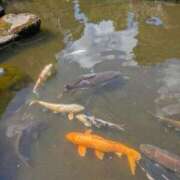 ヒメ日記 2025/08/28 14:32 投稿 花園かよ ウフフな40。ムフフな50。。（横浜ハレ系）