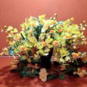 ヒメ日記 2025/10/11 17:11 投稿 花園かよ ウフフな40。ムフフな50。。（横浜ハレ系）