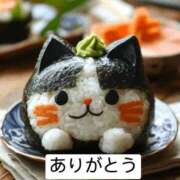 ヒメ日記 2025/11/25 09:10 投稿 花園かよ ウフフな40。ムフフな50。。（横浜ハレ系）