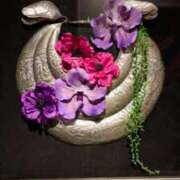 ヒメ日記 2026/02/14 00:29 投稿 花園かよ ウフフな40。ムフフな50。。（横浜ハレ系）