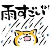 ヒメ日記 2025/06/23 10:30 投稿 ひな マリン宮殿雄琴店