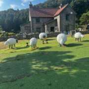 ヒメ日記 2025/08/02 09:27 投稿 ひな マリン宮殿雄琴店